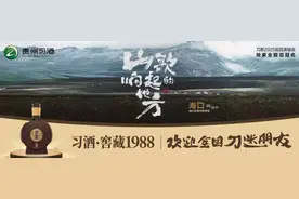 山海相邀，共敬知音！习酒&刀郎演唱会海口站开唱图片