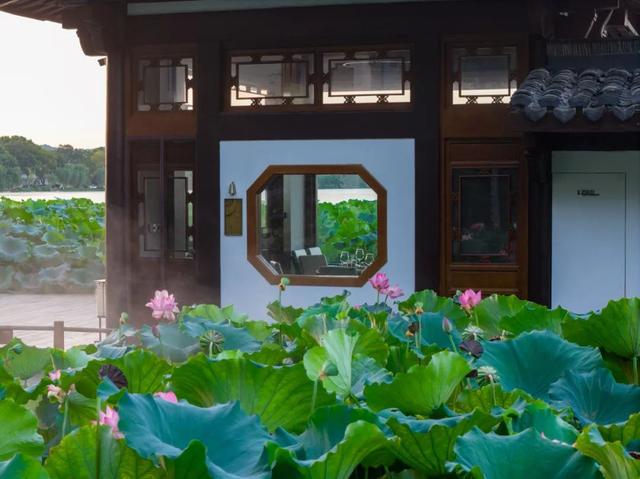 热破纪录的这个8月，再去看一眼西湖荷花吧，错过就要等明年了