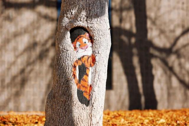 什么？日照这里有一群“小精灵”？！