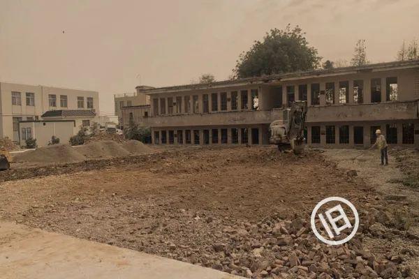 小斗湖鳘鱼胶效果 2026年斗湖鱼胶的功效与作用