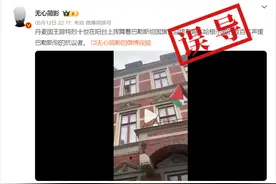 明查｜视频显示丹麦国王挥舞巴勒斯坦国旗以表声援？图片