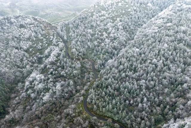 出片率99.99%！快来邂逅綦江版“冰雪奇缘”