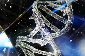 京东原副总裁蔡磊：已在渐冻症病因上有突破性发现图片