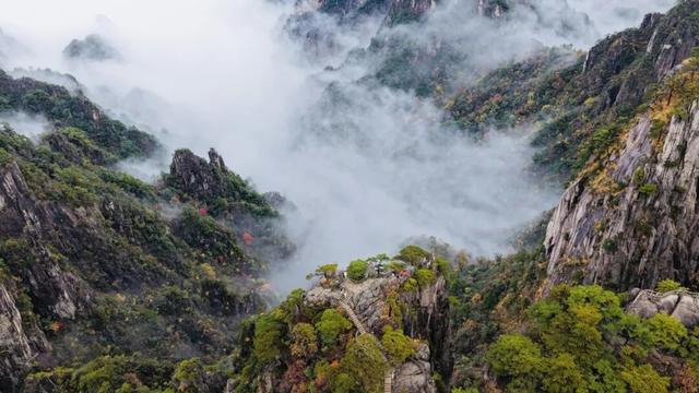 免票！黄山市旅游一卡通年票（2026全国版）重磅发售