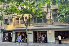 本土品牌为何偏爱“梧桐区”图片