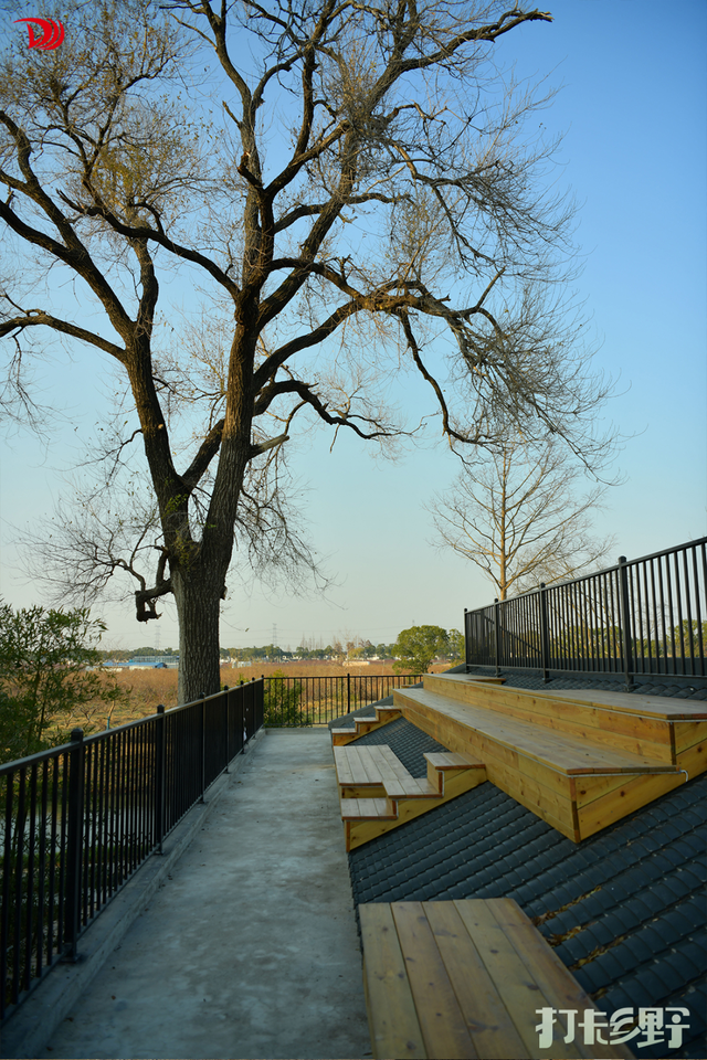 打卡乡野丨新年第一站，去上海离宇宙最近的村子，仰望星空，脚踏田野，开启元气新年