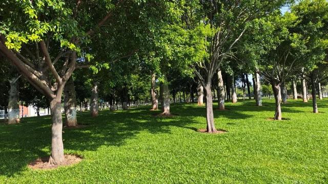 开学倒计时！抓住暑假“小尾巴”，用一场公园野餐给娃「充电」再出发！
