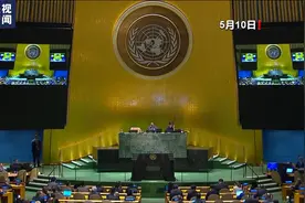 巴勒斯坦“入联”待审议 安理会将就保护平民公开辩论图片