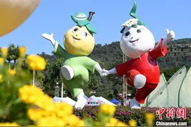 2024海峡两岸农博会·花博会在福建漳州开幕图片