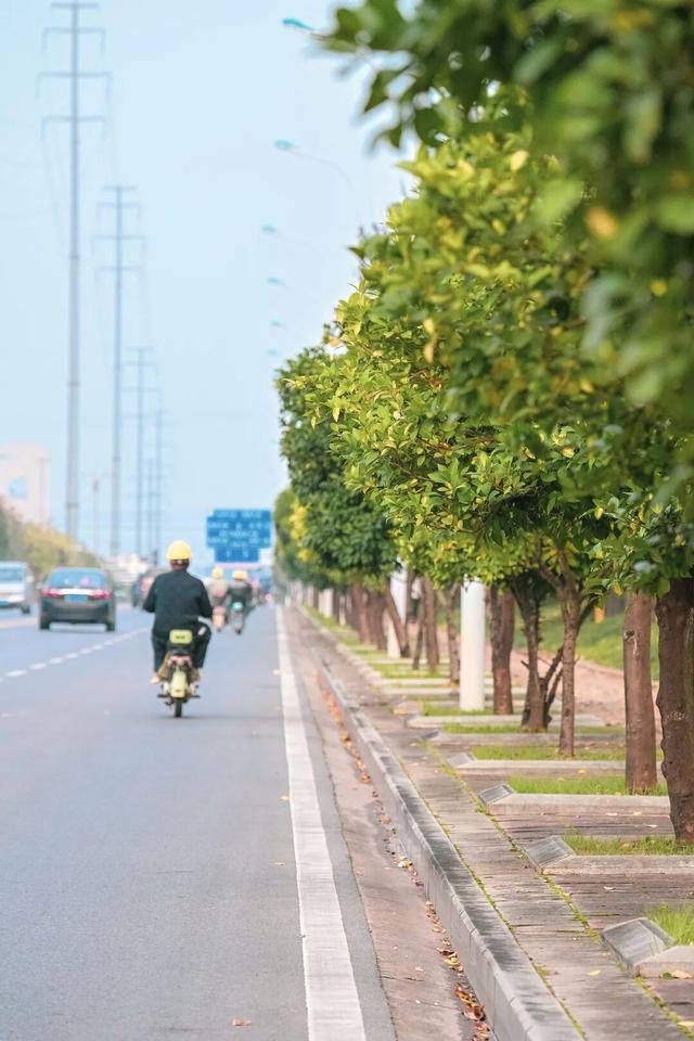 葛店这条“黄金大道”再不看就晚了！