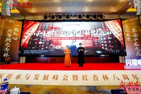 “看见中医力量”公益项目启动，首届中医药文化传承与发展峰会在长沙召开图片