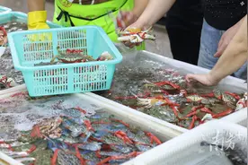 孕妇吃冷藏海鲜导致引产？警惕冰箱里的“冷酷杀手”图片