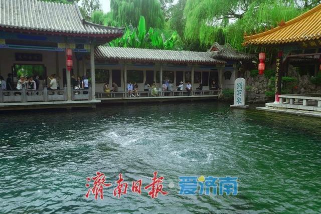一年四季 泉在济南丨水涌若轮，趵突泉实现连续喷涌22周年成定局