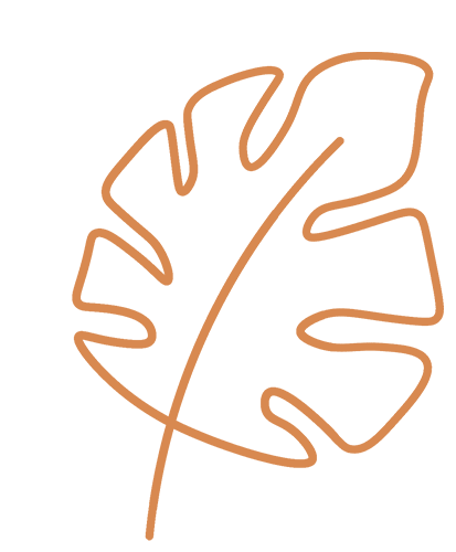 “育禾润万家”家庭教育亲子活动（第54期）——认识毛毛虫的一生图片