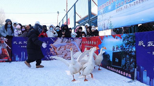 北国冰雪韵 阿荣欢乐汇