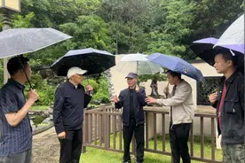 川渝盆景大师齐聚江北 共绘“方寸山水”新图景图片