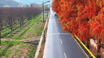 余杭初冬藏不住！这些秘境绝美~
