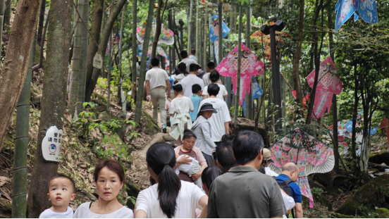 【2025年遂川文旅工作亮点】这一年！遂川文旅实力“圈粉”~