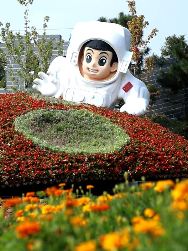 北京菊花文化节9月13日开幕 37天花期为市民带来秋日赏花盛宴