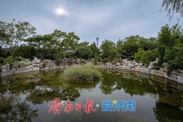 一年四季 泉在济南丨济南药山公园：生态之美与健身之乐的绝佳融合