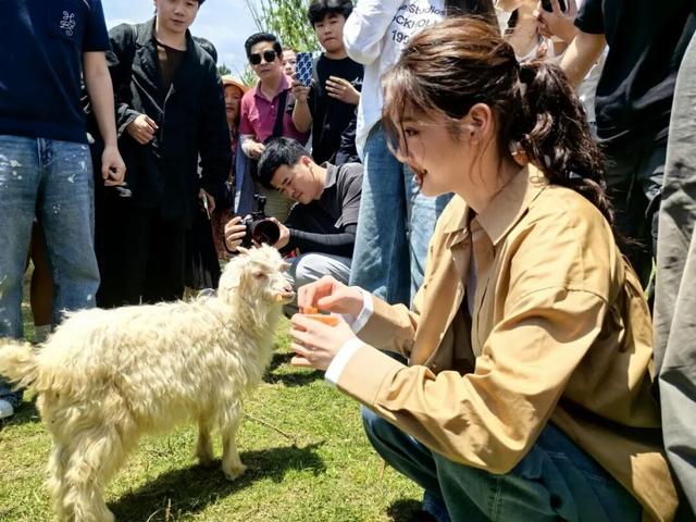 【2025年文旅系统工作成果展示】吉安县文旅2025年亮点工作回顾