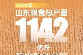 粮食购销总量1.65亿吨！更高水平“齐鲁粮仓”，山东这样建！图片