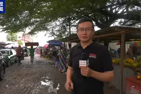 奶茶里的珍珠 刚果民众的主食 这种粮食作物了解一下→图片