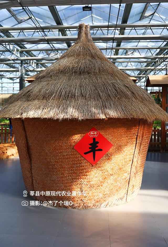 SVG|江北水城向“新”而行，文化“两创”一路生花#海岱文化谱新篇#
