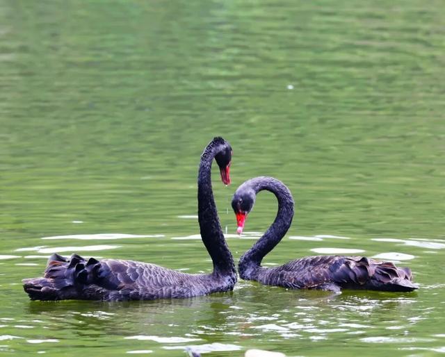 秋日美学暴击！正是赤橙黄绿时~