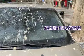 “人在树下走，屎从天上来”，“天屎之路”引争议图片