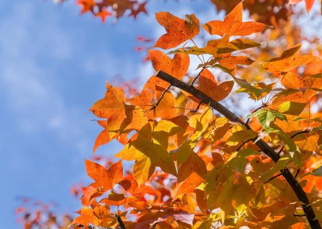 静谧的晋宁昆阳之秋，你可以清晰地听到自己的心跳