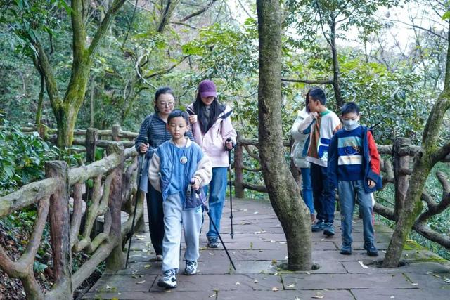 秋假“开门红”！ 蒙顶山迎来首批“尝鲜”学子