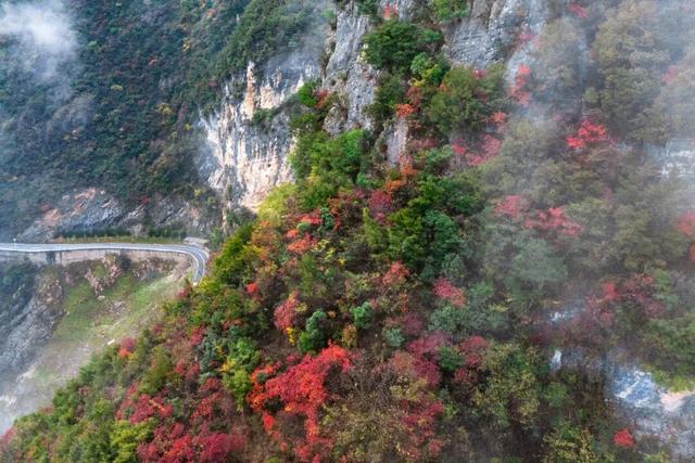 巫峡红透时，才懂中国秋天的壮阔