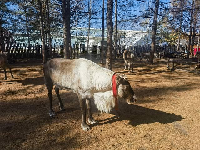 走进延边：长白山天池、延吉、图们、珲春行记