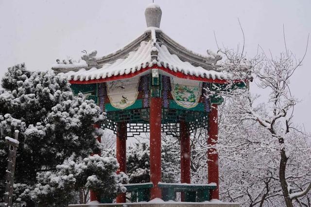 北京全城等雪来！故宫约不上？这些地方随手一拍也是大片——