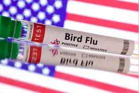 美国加州一名儿童疑似感染禽流感，家庭成员检测呈阴性图片