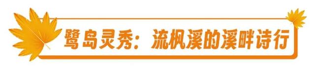 福建暖冬，又是一年好“枫”景