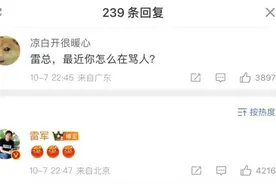 最近总听“雷军”在骂人“XX是SB”，专家：玩AI要慎重，严重者或担刑责图片