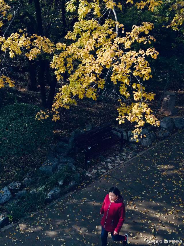秋高气爽，金色泉城公园