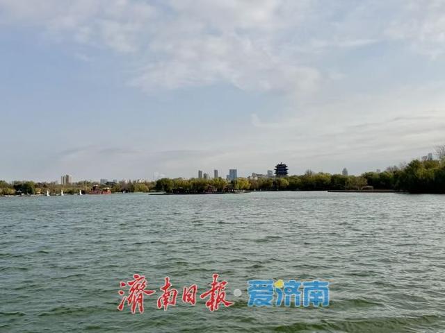 一年四季 泉在济南丨冬日大明湖静谧雅致 湖光冬韵醉泉城