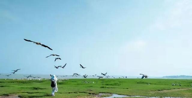 鄱阳湖“轻游”手册，松弛感拿捏～