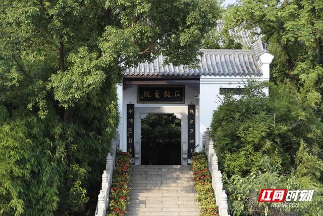 我住湘江边③丨绿净不可唾，山明水秀是衡阳