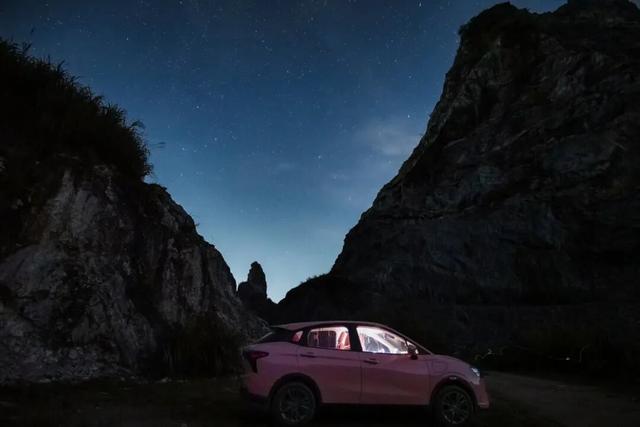 广东新晋网红地！浪漫花海、直升机飞行、地道美食…三水这个地方藏不住了