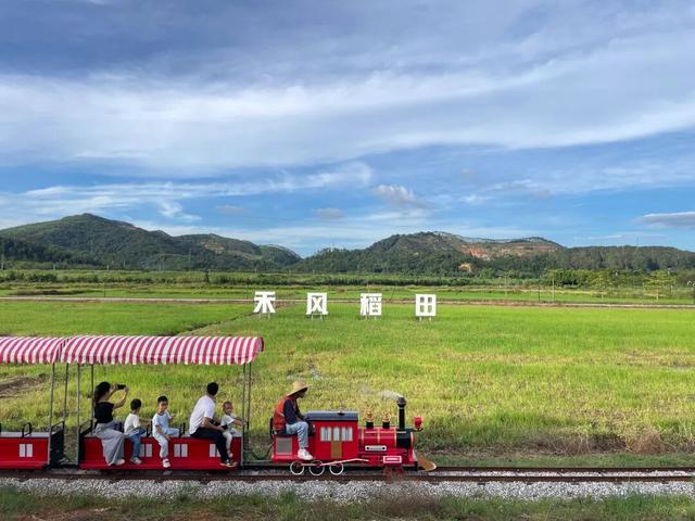 “双节”期间四会“文旅体”融合玩出新花样→