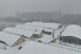 黑龙江汤原：农技人员深入村屯棚室指导雪后农业生产图片