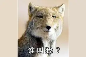 痛失本名！你的家乡上榜了吗？图片