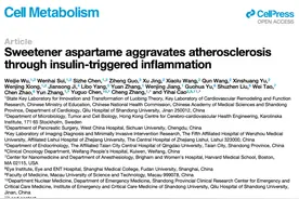 零糖并不健康！最新研究：常见人工甜味剂阿斯巴甜伤害心血管图片
