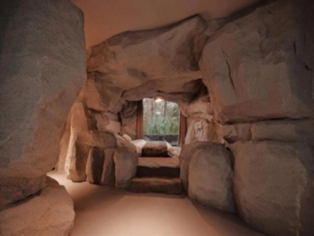 奉贤区景区限时免票或半价来了