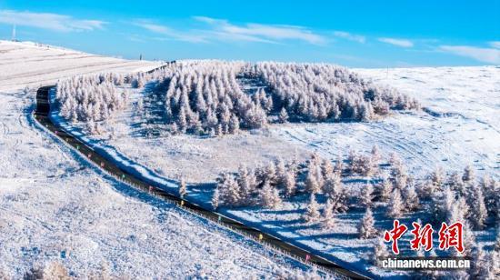 一半金黄一半雪白，秋日雾凇上线！