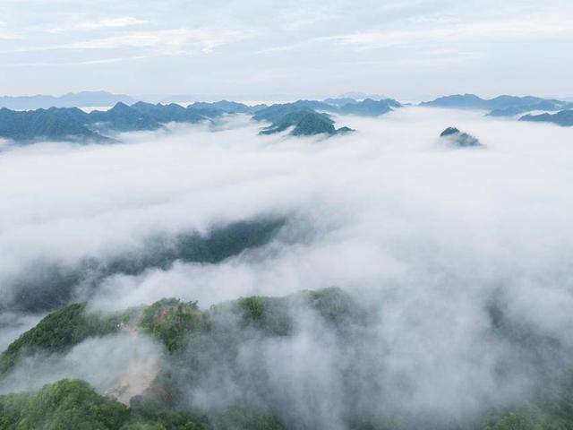 保康：云海漫山巅 泼墨绘仙卷